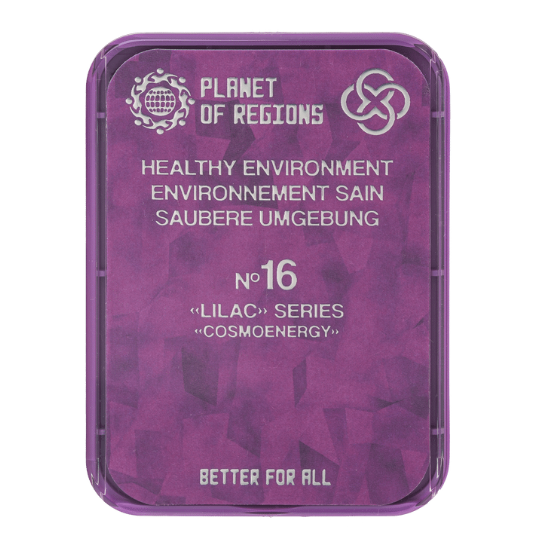 FC Flieder 16 - Reiner Raum - 8 Elemente