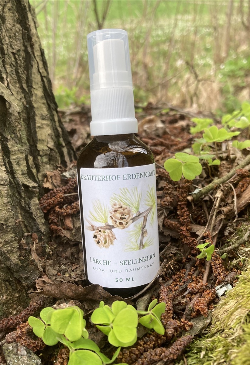 Lärche - Aura-Spray 50ml